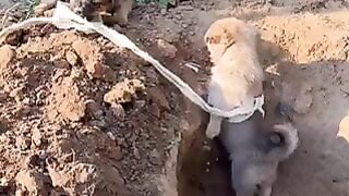 This made my day ????