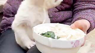 This is too cute ????