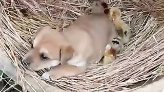 Watch till the end ???? 3