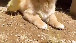 This is too funny ???? 2