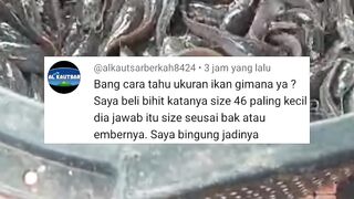 Inilah ALASAN kenapa kita harus FAHAM ukuran BAK SORTIR dan BIBIT LELE