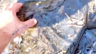 Are all animal bites poisonous?