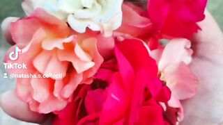 So Beautiful My Favourite