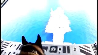 Jumping With K9 Onto An Aircraft Carrier #doglover #k9 #aircraft