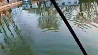 This Is Why Fishing Feels So Peaceful ????