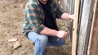 What a considerable comedy