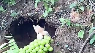 I wasn’t ready for this