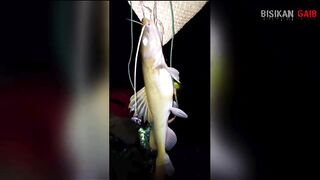 mancing di malam hari