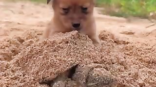 Don’t blink or you’ll miss it