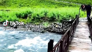 My Favourite Place 2