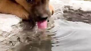 This is actually crazy