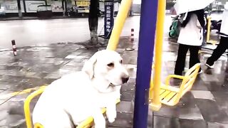 Isn’t the cutest thing you’ll see today?