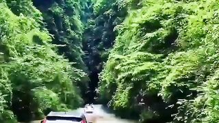 Online earning app 2026 5