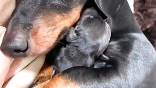 A mother’s love is the most precious gift in the world