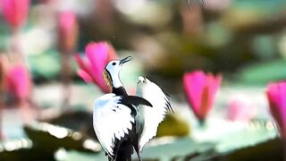 Gentle Love Turns Into Strength