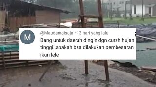 TIPS Budidaya lele didaerah DINGIN
