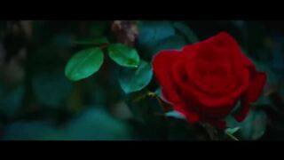 Rosebush Pruning Trailer #1 (2026)