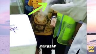 Mengapa Ikan Yang Membeku Dapat Hidup Kembali????? versi bola88