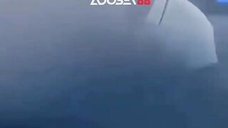 Dibalik setiap gol, ada arahan yang nggak kenal lelah.