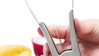 Multi-Fruit Peeler & Pitter for Mango, Melon, & Dragon Fruit