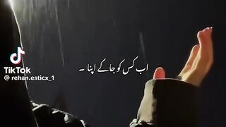 Haley dil ????????????????