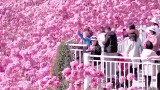 Wow ????????✨  If you have never seen a pink world, take a look now!