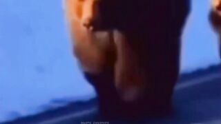 Anak beruang adalah makhluk kecil yang begitu menggemaskan, dengan bulu lembut dan tatapan penuh rasa ingin tahu.