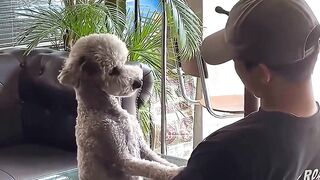 A dog is the only thing that can fix a broken heart #animals #doglovers #love