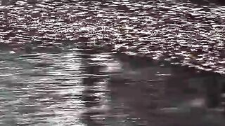 The Amazing Spiderman #amazing #spiderman