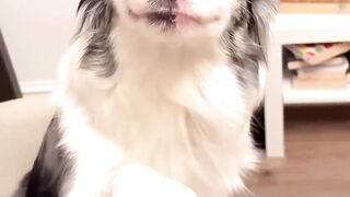 She’s got the cutest star on her nose