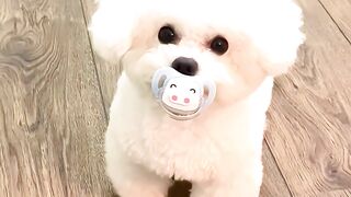 She’s just like a little baby