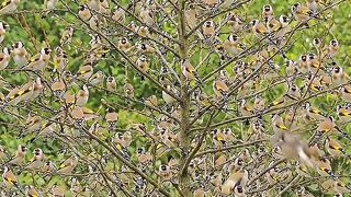 Nature doesn’t rush. Nothing happens. That’s the point.