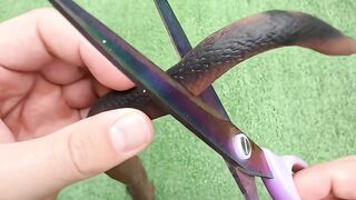 You won’t expect this ending…