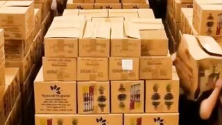 কলম ডিলার