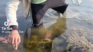 Beautiful Blue Small Fish