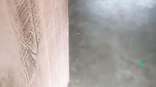 World Greatest Cryptocurrency Recovery Expert For Stolen Bitcoin Solutions Visit Autopsy Mainnet Recovery