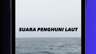 bayangin denger ini tengah malem di tengah laut ♡ #radexn #ocean #fyp