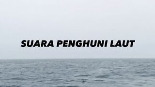 bayangin denger ini tengah malem di tengah laut ♡ #radexn #ocean #fyp See translation