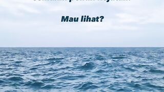 ini baru beberapa… #ocean #radexn #fyp