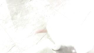 I could never get tired of my dog’s antics