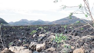 travelite - id | Trending HD Video 271