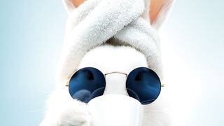 Funnyfuzzy - id | Trending HD Video 277