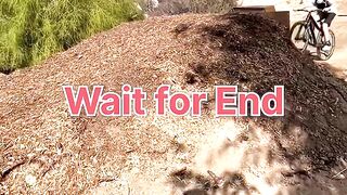 Don't try to laugh #funnyreels #funnyshorts #memes