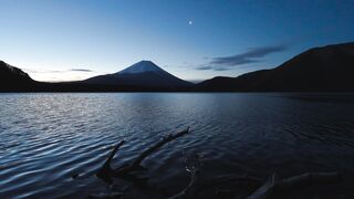 Winterhalter - id | Trending HD Video 95