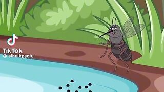 Machhar insaan Ka blood Nahi pita