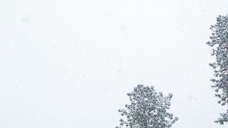 Winter Coat - a person is skiing down a snowy hill | Trending HD Video