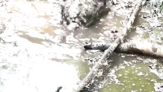 You just can’t get mad at them when they’re having so much fun