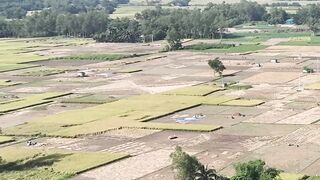 4K Computer Monitor - drone view of bangladeshi countryside fields | Trending HD Video