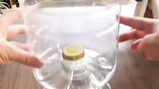 Pot bunga dari botol bekas