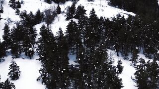 Winter solstice - stunning aerial winter landscape of snowy woods | Trending HD Video